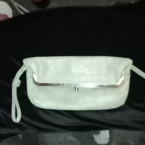 Clutch/ Wristlet